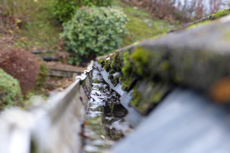 High Inspectations rooftop gutters