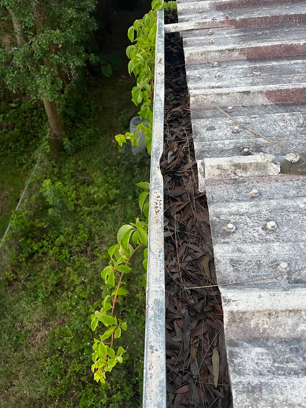 High Inspectations leaf removal from gutters